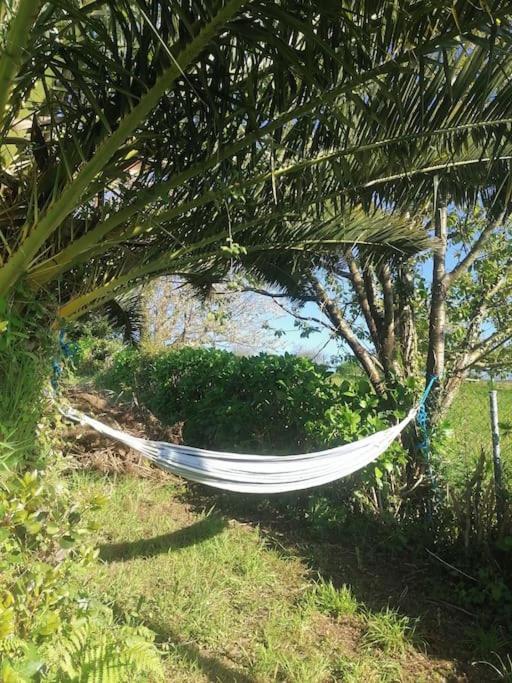 Villa La Casa Azul De Lua Un Lugar Magico Juncedo Exterior foto