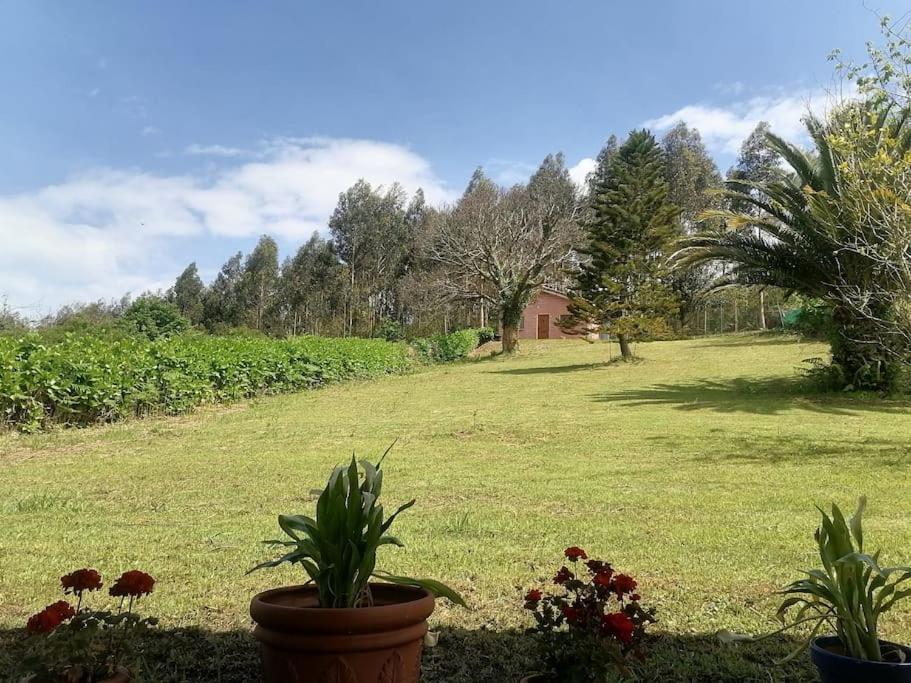 Villa La Casa Azul De Lua Un Lugar Magico Juncedo Exterior foto