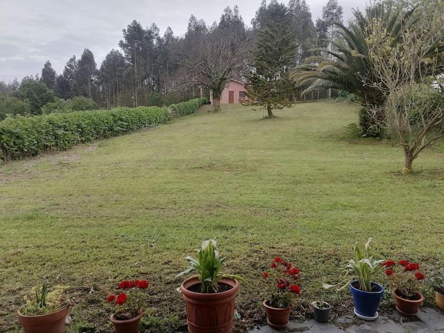 Villa La Casa Azul De Lua Un Lugar Magico Juncedo Exterior foto