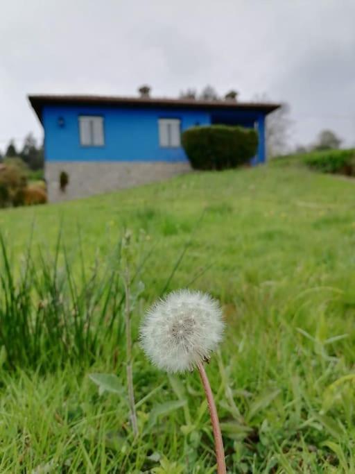 Villa La Casa Azul De Lua Un Lugar Magico Juncedo Exterior foto